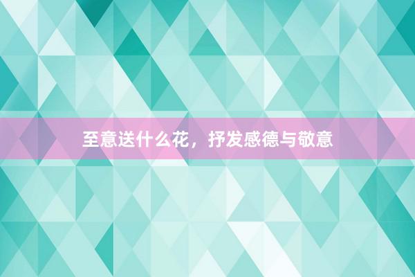 至意送什么花，抒发感德与敬意