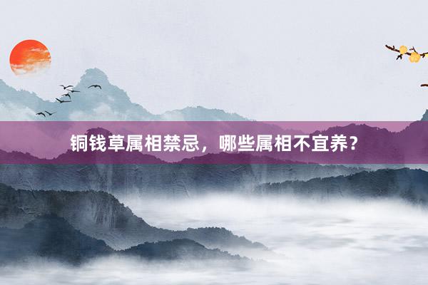 铜钱草属相禁忌，哪些属相不宜养？